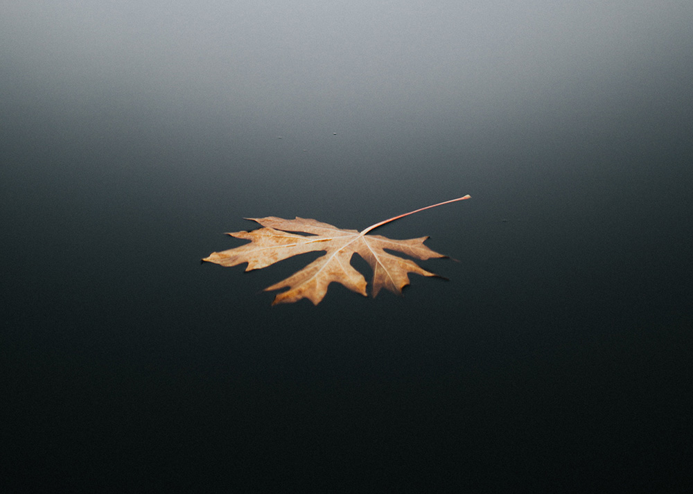 The Importance of Rest