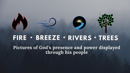 Fire Breeze River Trees 1